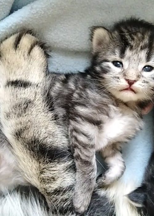 VID_20250612_173834_exported_13166~2